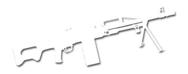 Pulemetchiki PKP
