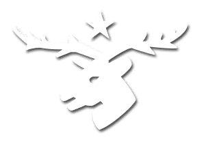 Eesti Scouts