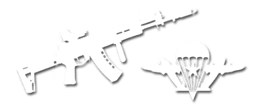 VDV DSh
